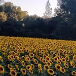 Rural El Cielo Entejado Отель 3*