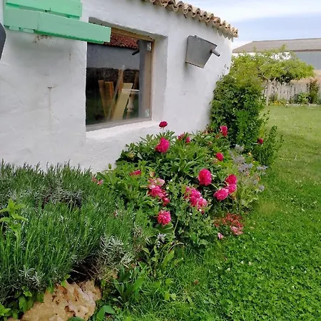 Rural El Cielo Entejado Tejado