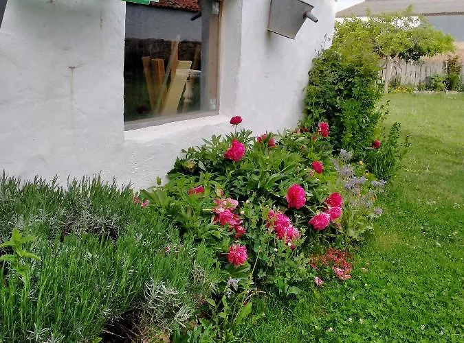 Rural El Cielo Entejado Tejado