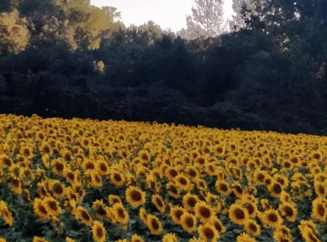 Rural El Cielo Entejado Hotel 3*